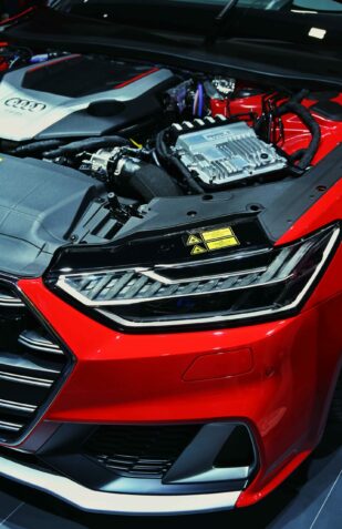 {{brizy_dc_image_alt imageSrc=